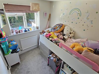 Picture 25